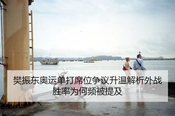 樊振东奥运单打席位争议升温解析外战胜率为何频被提及