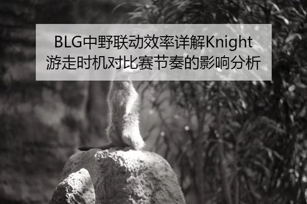 BLG中野联动效率详解Knight游走时机对比赛节奏的影响分析