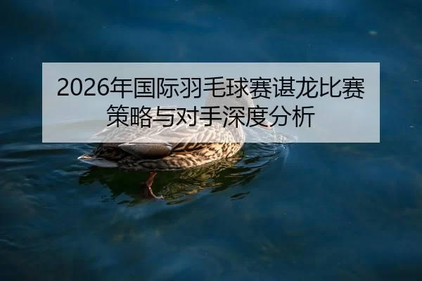 2026年国际羽毛球赛谌龙比赛策略与对手深度分析