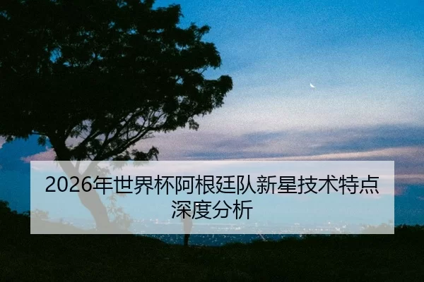 nian-shi-jie-bei-a-gen-ting-dui-xin-xing-ji-shu-te-dian-shen-du-fen-xi-2-687.jpg