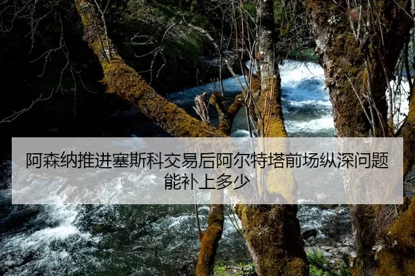阿森纳推进塞斯科交易后阿尔特塔前场纵深问题能补上多少
