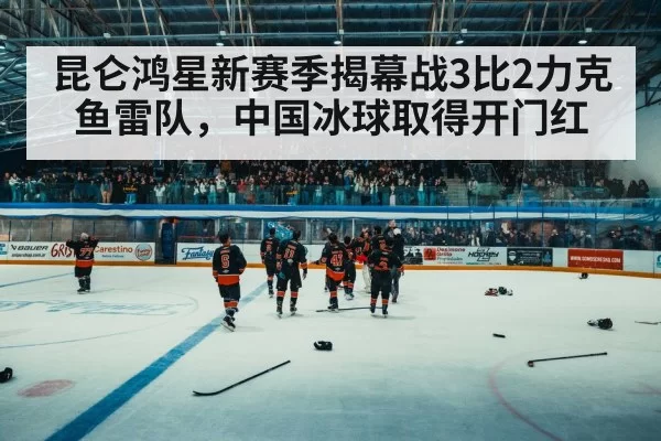 ice hockey arena crowd